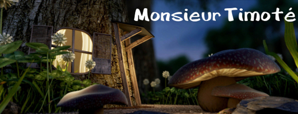Monsieur-Timot Monsieur-Timot